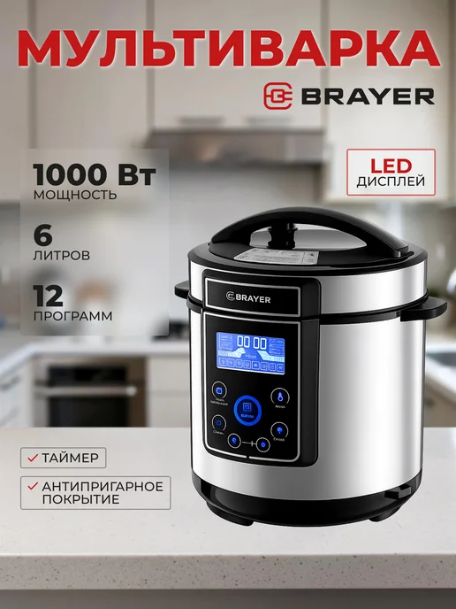 BRAYER BR2401