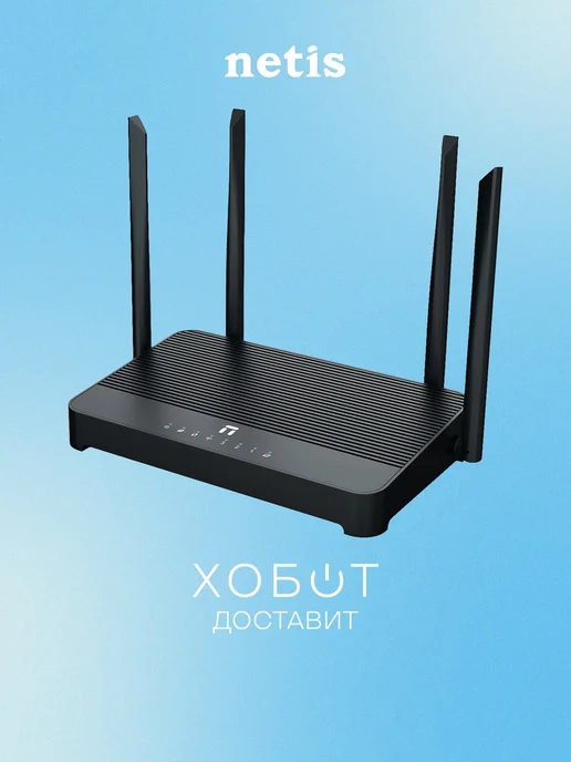 NETIS NX31