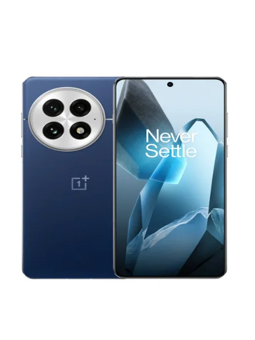 OnePlus 13