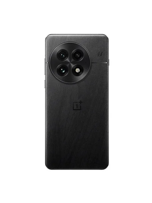 OnePlus 13