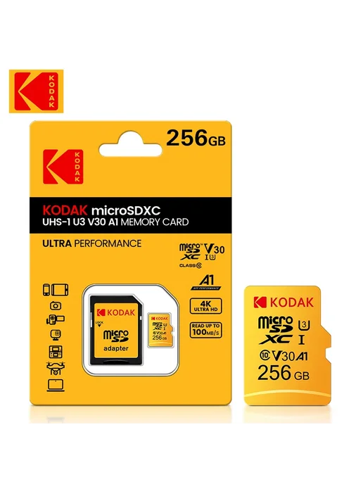 KODAK V30