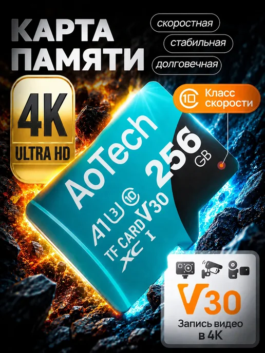 Aola Карта памяти 256 ГБ Microsd