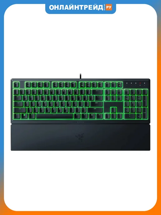 Razer V3 X