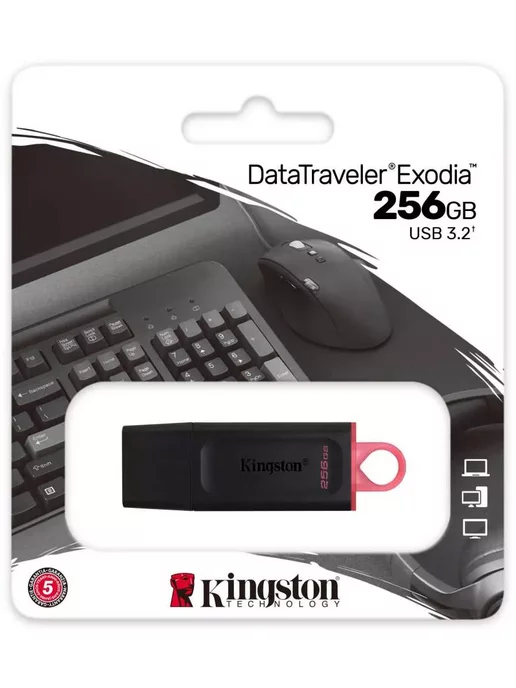 Kingston EXODIA 256