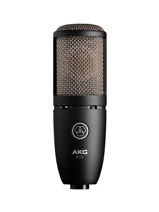 AKG P220