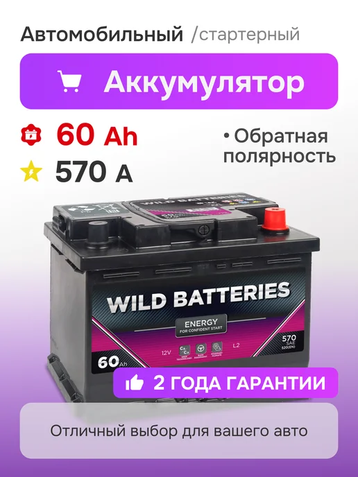 WILD BATTERIES 60 А·ч 570 A обратная