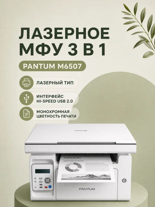 Pantum M6507