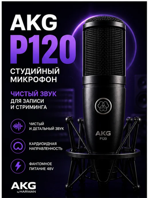 AKG P120