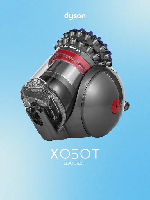 Dyson Big Ball Multifloor 2