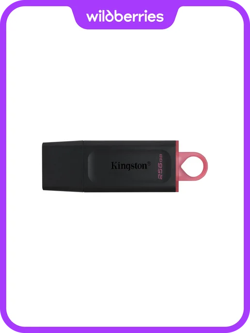 Kingston DTX/256GB
