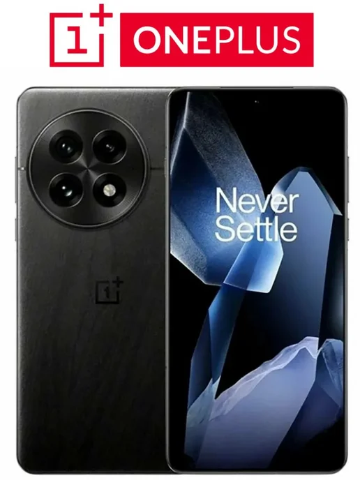 OnePlus 13