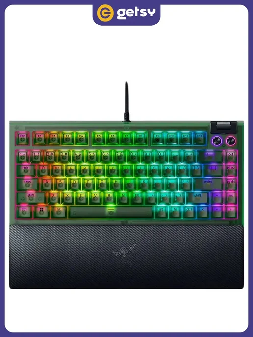 Razer V4