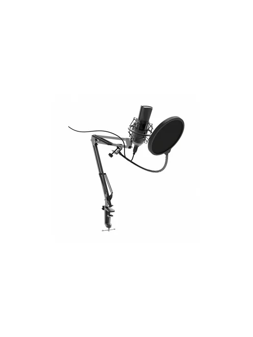 RITMIX RDM-180